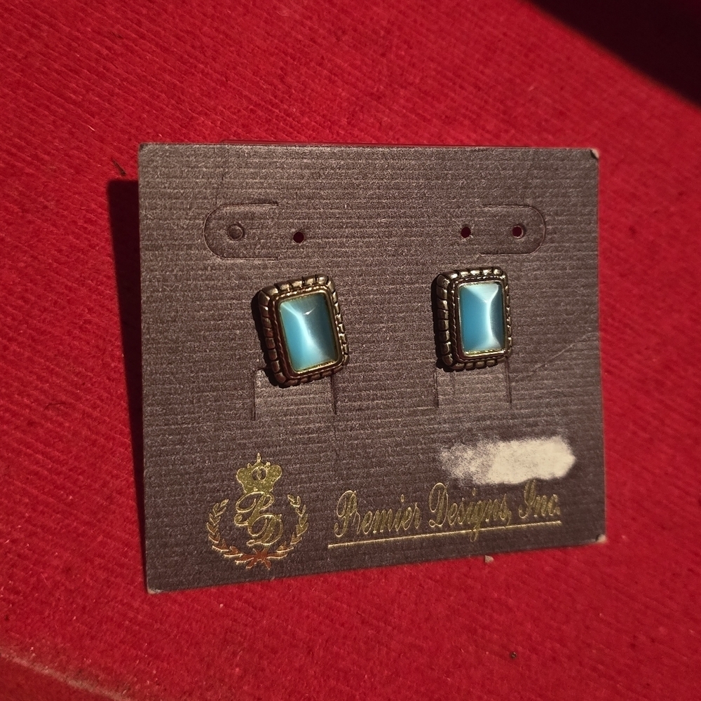 Premier Designs | Vintage Cat's Eye Post Earrings